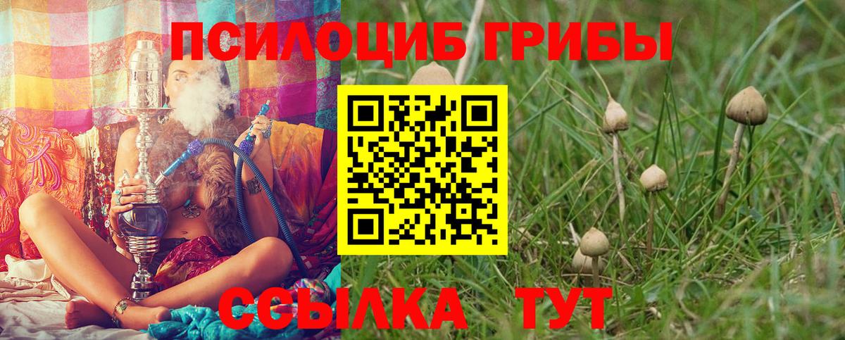 Галлюциногенные грибы MAGIC MUSHROOMS Коряжма
