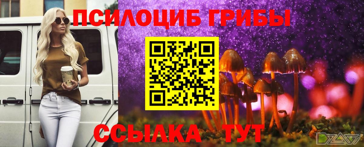 Галлюциногенные грибы Psilocybine cubensis  Вход с VPN  Коряжма  Галлюциногенные грибы GOLDEN TEACHER 